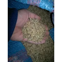 Семена свеклы кормовой.Польша.Сорт Урсус-2.3$\кг