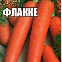 Семена моркови.Насіння моркви